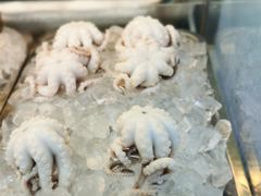 -铭聚章鱼土笋冻(松柏店)