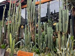 -正宗李家土鸡米线店