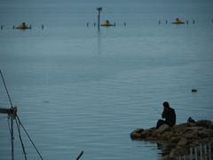 -贡湖湾湿地公园