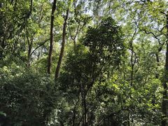 -吴山景区