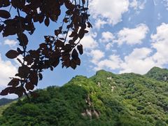 -秦岭终南山世界地质公园翠华山景区