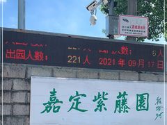 -嘉定紫藤园