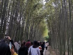 -上海市龙华烈士陵园