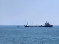 -广东惠东海龟国家级自然保护区