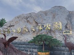 -北京西山国家森林公园