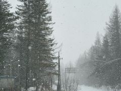 -峡谷浮石林景区