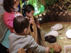 -藦茜花园宠物主题亲子互动体验馆(国顺东路店)