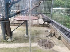 -深圳野生动物园