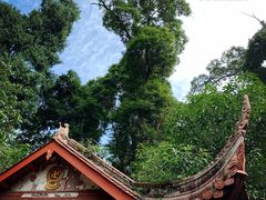 -都江堰普照寺