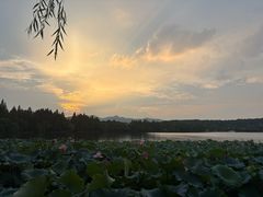 -浙江西子宾馆·瑶园咖啡厅