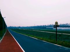 -上海长兴岛郊野公园