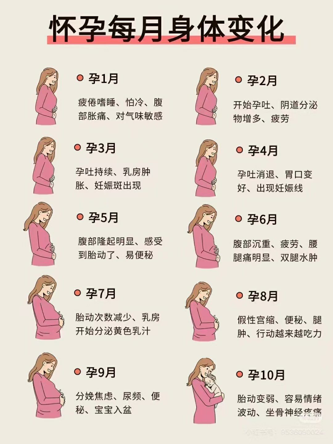 只有学会这些你才能怀孕