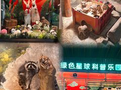 -绿色星球动物主题公园