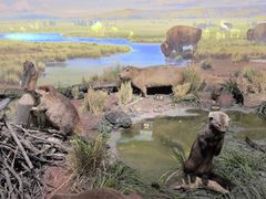 -陕西自然博物馆