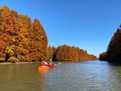 -上海海湾国家森林公园