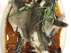 -宜宾海鲜酒家·三十年老字号