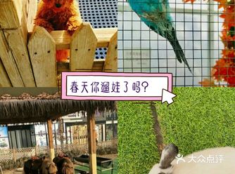 春日遛娃，就去动物乐园！