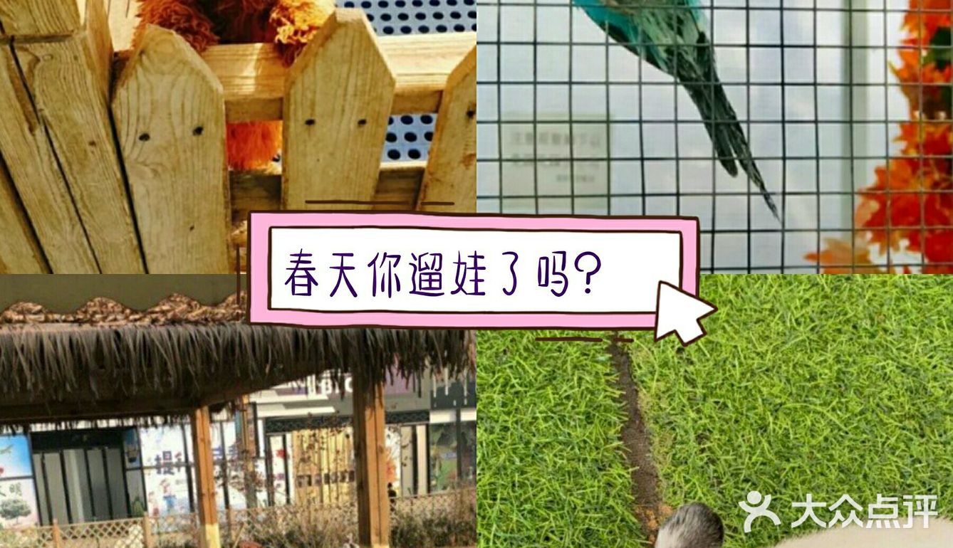 春日遛娃，就去动物乐园！