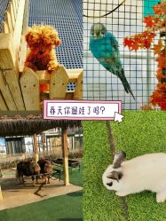 -萌宠亲子动物乐园(槐房万达店)