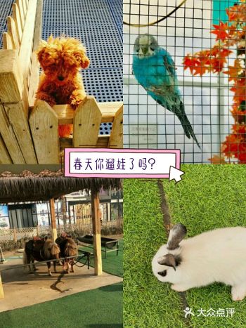 春日遛娃，就去动物乐园！