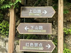 -大岭沟猕猴桃谷风景区