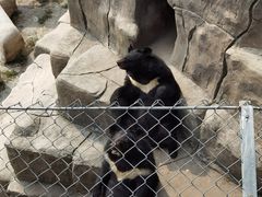 -石家庄市动物园