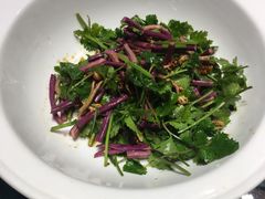 凉拌野蕨菜-九十九顶毡房(阜石路店)