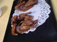-鸽王世家(东华东路店)
