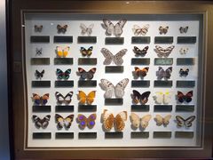 -上海昆虫博物馆