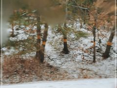 -帽儿山国家森林公园