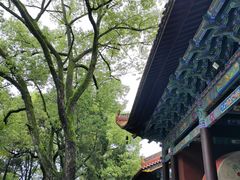 -南岳大庙