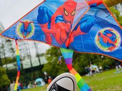 -上海共青森林公园