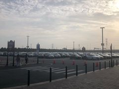 -迪士尼乐园停车场