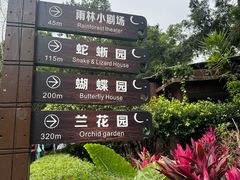 -野象谷景区