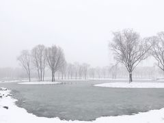 -大兴滨河森林公园