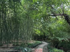 -兰亭风景区