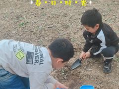 -东郊湿地公园