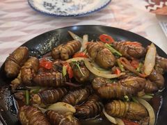 -徐嘉赫龙虾馆
