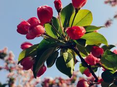 -元大都城垣遗址公园