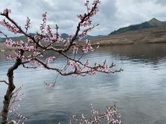 -河口景区