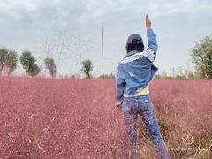-汉长安城未央宫国家考古遗址公园