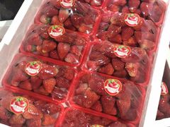 -菜园坝水果市场