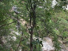 -黑龙潭风景区