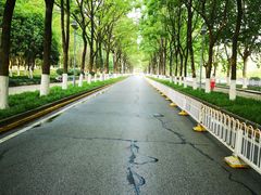 -后襄河公园