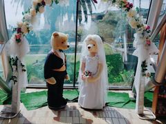 -济州岛泰迪熊博物馆