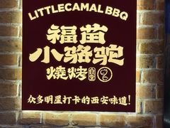 -福苗小骆驼烧烤(莲湖路店)