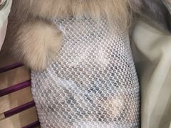 -菲尔斯特宠物医院