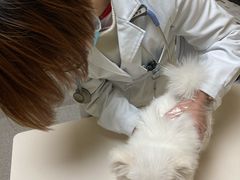 -谐和贝康宠物医院24小时·宠保定点(急重症转诊中心)