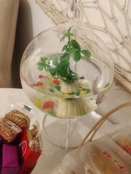 -天鹅湖美容SPA馆