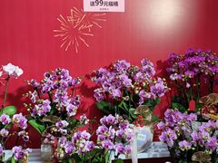 -天河沃尔玛